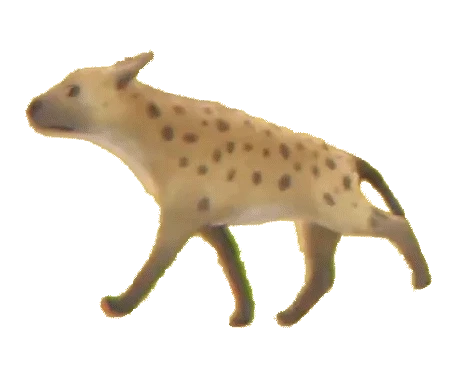 Walking hyena